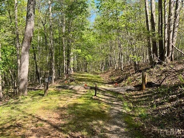 0 Mountain Ridge Rd, Glade Hill, VA 24092 - photo 10