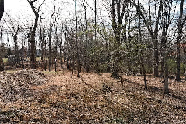0 Cottontown Rd, Forest, VA 24551