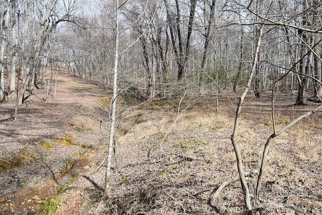 0 Cottontown Rd, Forest, VA 24551