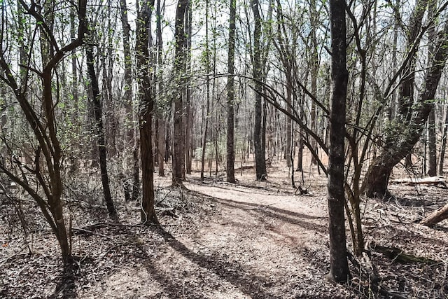 0 Cottontown Rd, Forest, VA 24551