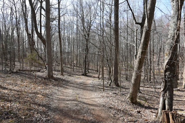 0 Cottontown Rd, Forest, VA 24551