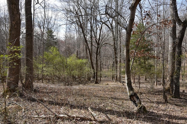 0 Cottontown Rd, Forest, VA 24551