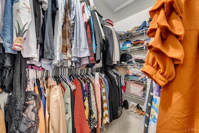 1746 Fiddler Creek Rd, Bedford, VA 24523 - spacious closet featuring carpet floors