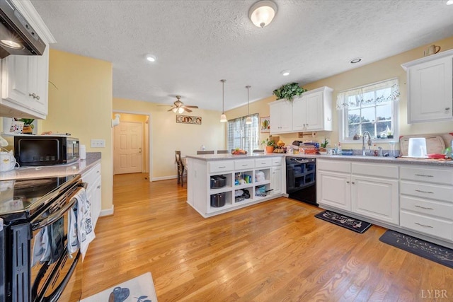 1746 Fiddler Creek Rd, Bedford, VA 24523 - kitchen with black appliances, sink, white cabinets, and hanging light fixtures