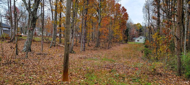 0 Stonewall Rd, Appomattox, VA 24522 - photo 15