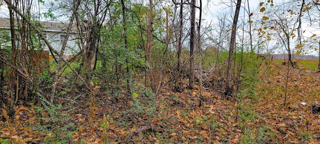 0 Stonewall Rd, Appomattox, VA 24522 - photo 10