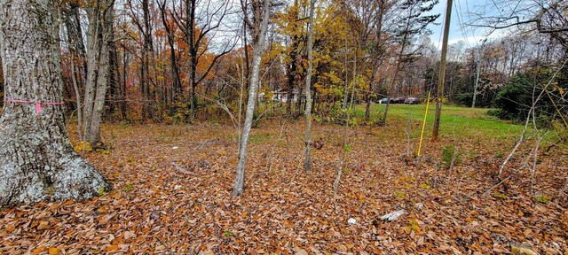 0 Stonewall Rd, Appomattox, VA 24522 - photo 11