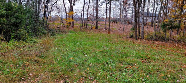 0 Stonewall Rd, Appomattox, VA 24522 - photo 14