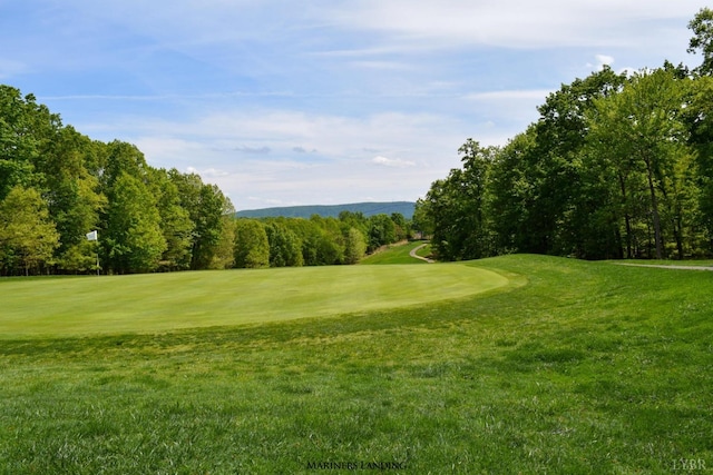 1161 Golf View Ct, Huddleston, VA 24104 - view of property's community with view of golf course and a yard