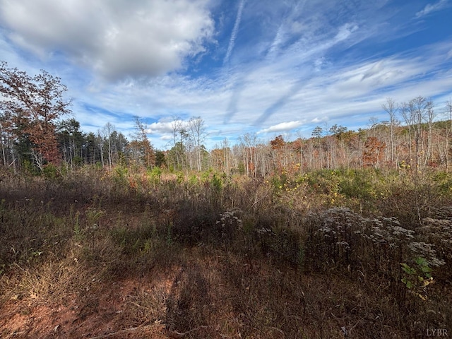 0 Colemans Mill Rd, Gladstone, VA 24553 - photo 2