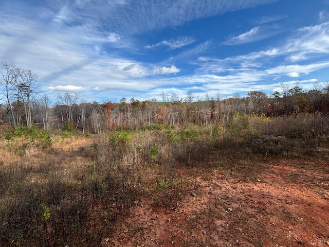 0 Colemans Mill Rd, Gladstone, VA 24553 - photo 3