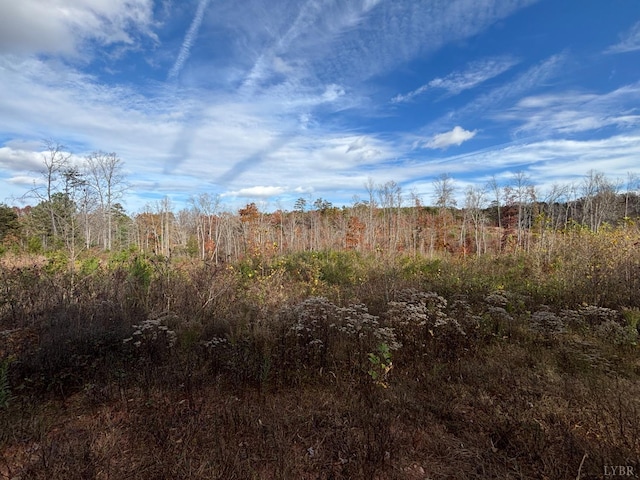 0 Colemans Mill Rd, Gladstone, VA 24553 - photo 1