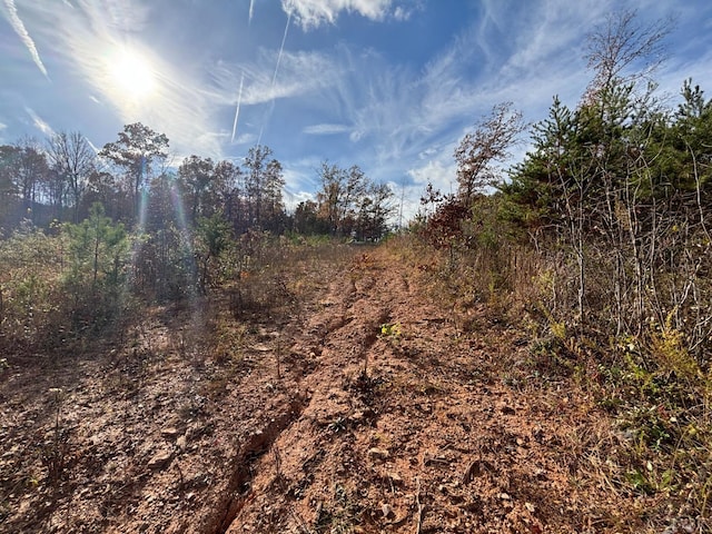 0 Colemans Mill Rd, Gladstone, VA 24553 - photo 5