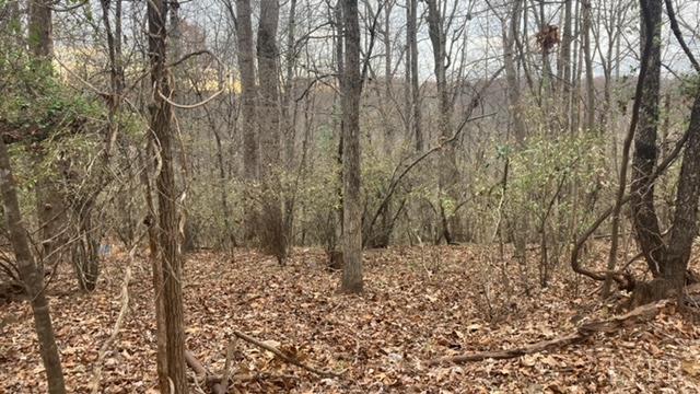 1147 Stratford Rd, Lynchburg, VA 24502