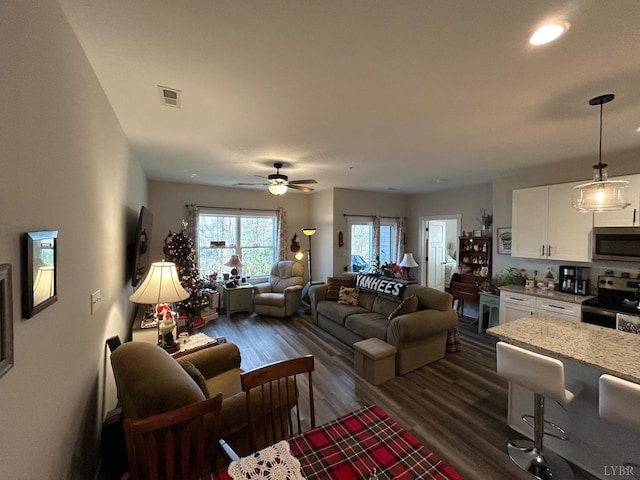 1300 Stoney Ridge Blvd Unit 102, Forest, VA 24551 - living room with ceiling fan and dark wood-type flooring