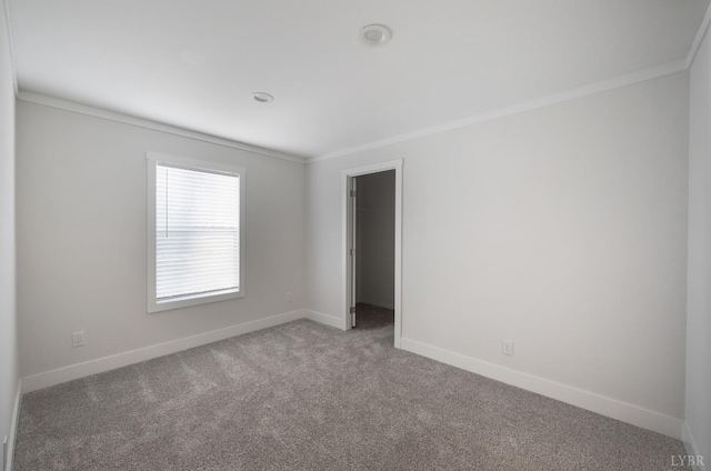 899 Union Hill Rd, Amherst, VA 24521 - carpeted spare room with ornamental molding and baseboards