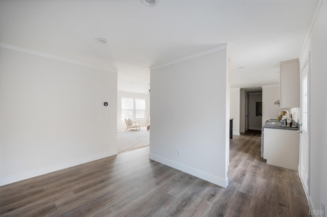 899 Union Hill Rd, Amherst, VA 24521 - unfurnished living room with wood finished floors, a sink, crown molding, and baseboards