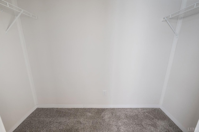 899 Union Hill Rd, Amherst, VA 24521 - walk in closet with carpet flooring