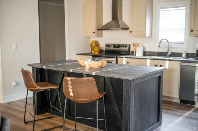 899 Union Hill Rd, Amherst, VA 24521 - kitchen with wall chimney range hood, appliances with stainless steel finishes, cream cabinetry, a sink, and wood finished floors