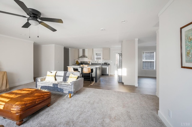 899 Union Hill Rd, Amherst, VA 24521 - living area featuring carpet, crown molding, baseboards, and ceiling fan