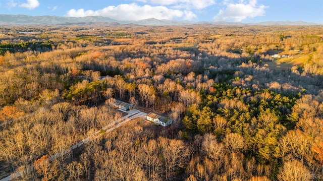 899 Union Hill Rd, Amherst, VA 24521 - drone / aerial view of a mountainous background