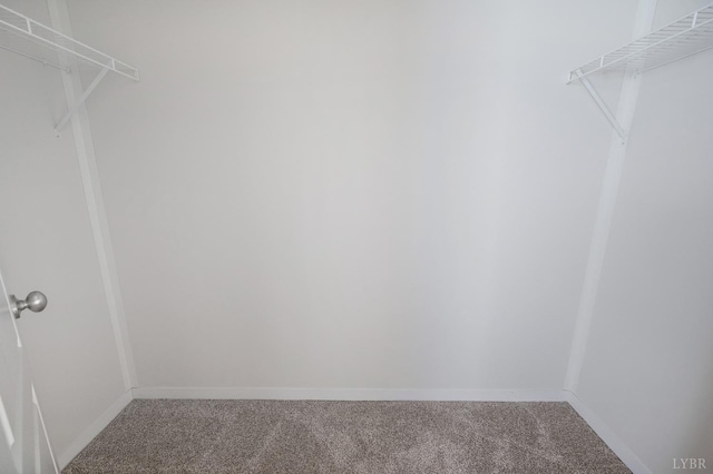 899 Union Hill Rd, Amherst, VA 24521 - spacious closet with carpet floors