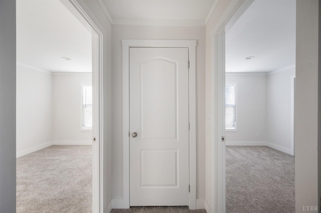 899 Union Hill Rd, Amherst, VA 24521 - hallway with carpet and crown molding