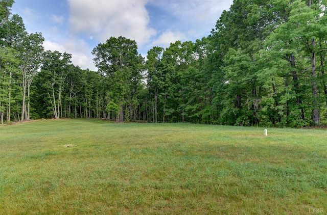 1327 Greenhouse Rd, Rustburg, VA 24588 - view of yard featuring a forest view