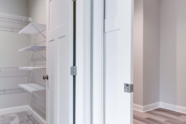 1327 Greenhouse Rd, Rustburg, VA 24588 - walk in closet featuring light wood-type flooring