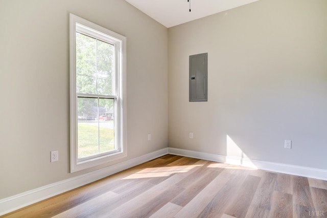 1327 Greenhouse Rd, Rustburg, VA 24588 - spare room with electric panel, light wood-style flooring, and a healthy amount of sunlight