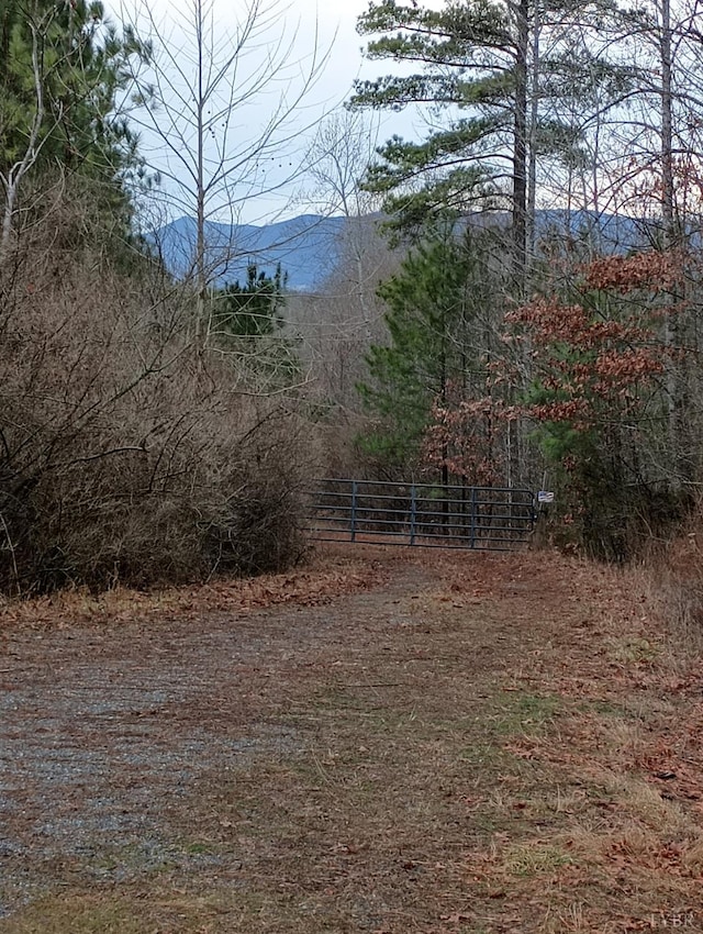 0 Wilderness Creek Rd, Monroe VA, 24521 land for sale