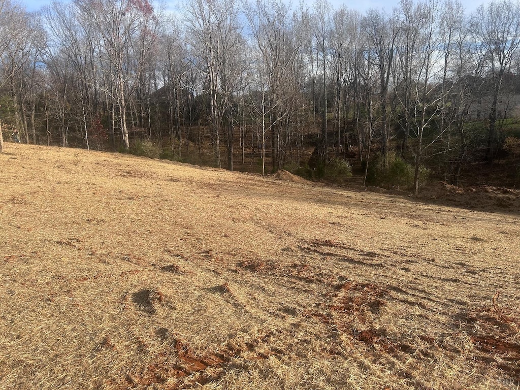 9 Lakepointe Dr, Forest, VA 24551 - photo 3