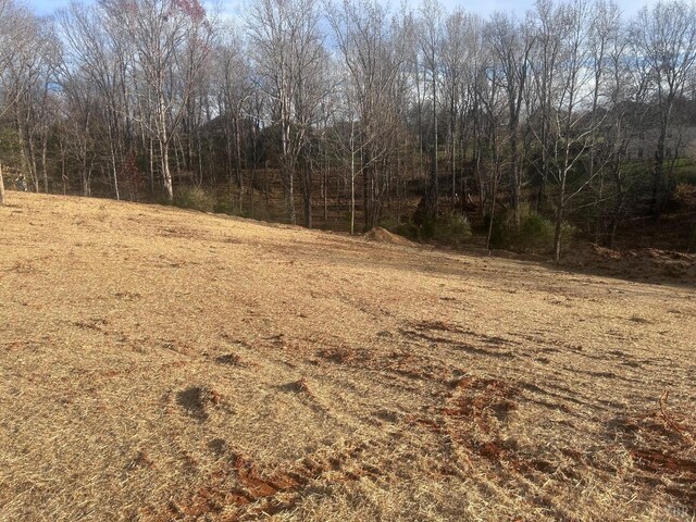9 Lakepointe Dr, Forest, VA 24551 - photo 3