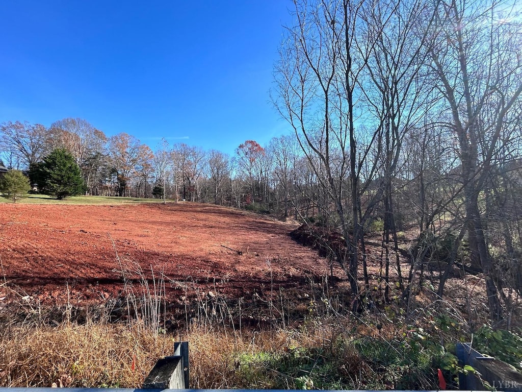 9 Lakepointe Dr, Forest, VA 24551 - photo 1