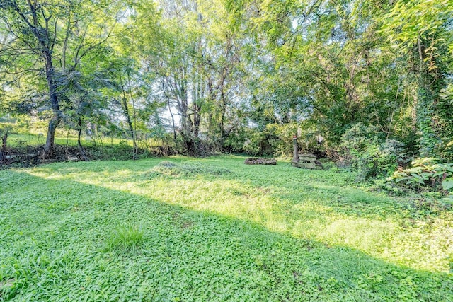 1930 Vine St, Lynchburg, VA 24501 - view of yard