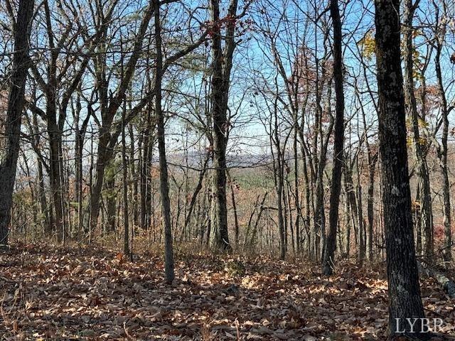 0 Kingswood Ln, Lynchburg, VA 24504 - photo 1