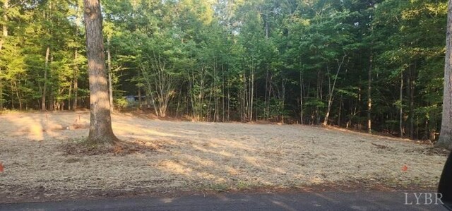 0 Buccaneer Rd, Moneta, VA 24121