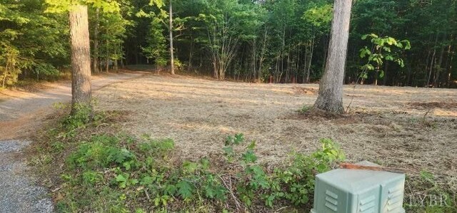 0 Buccaneer Rd, Moneta, VA 24121