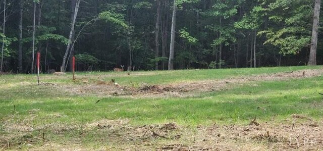 0 Buccaneer Rd, Moneta, VA 24121