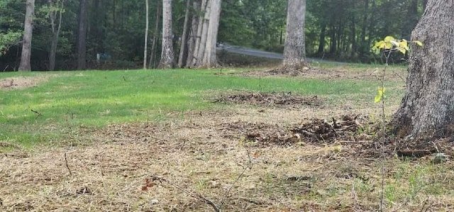 0 Buccaneer Rd, Moneta, VA 24121