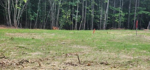 0 Buccaneer Rd, Moneta, VA 24121