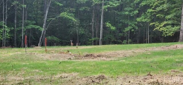 0 Buccaneer Rd, Moneta, VA 24121