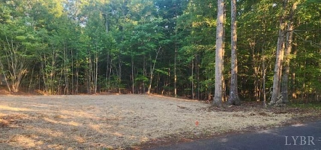 0 Buccaneer Rd, Moneta, VA 24121