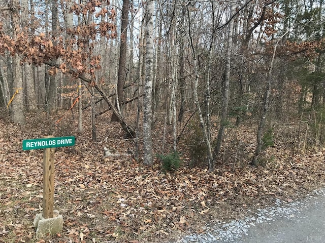 0 Reynolds Dr, Rustburg, VA 24588 - photo 2
