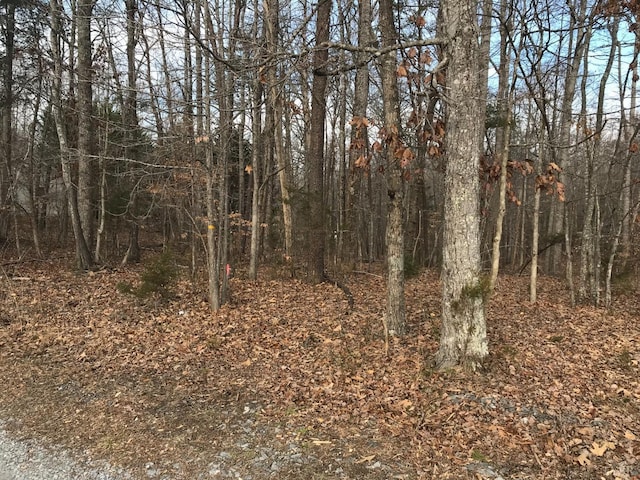 0 Reynolds Dr, Rustburg, VA 24588 - photo 5