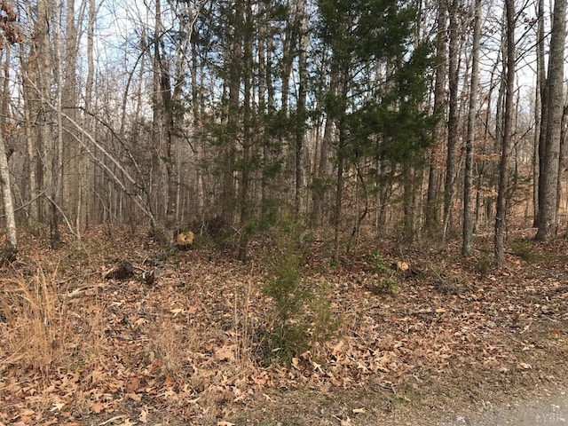 0 Reynolds Dr, Rustburg, VA 24588 - photo 8