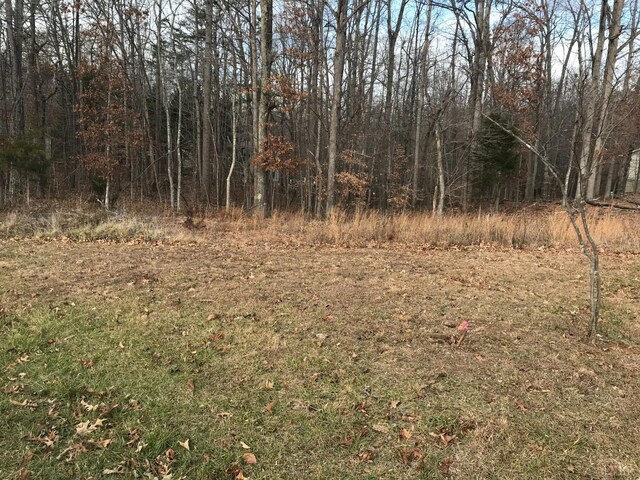 0 Reynolds Dr, Rustburg, VA 24588 - photo 1
