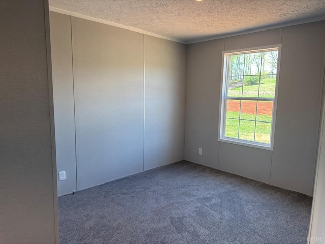 carpeted spare room featuring a textured ceiling, healthy amount of natural light, and ornamental molding