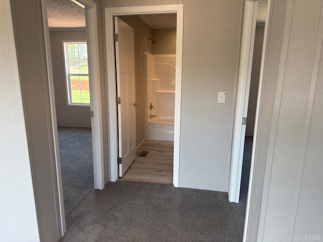 hallway with carpet