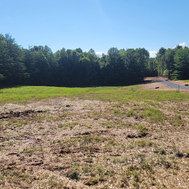24 Down Creek Rd, Brookneal, VA 24528 - photo 2